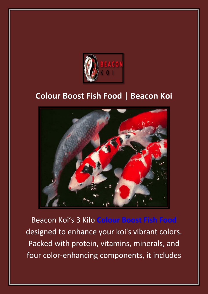 colour boost fish food beacon koi