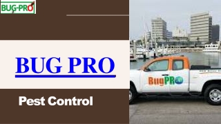 Bug Pro Pest Control Reliable Pest Management Services Across Nigeria