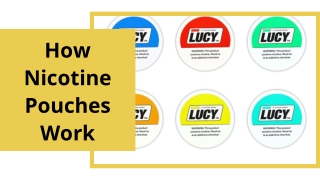 How Nicotine Pouches Work