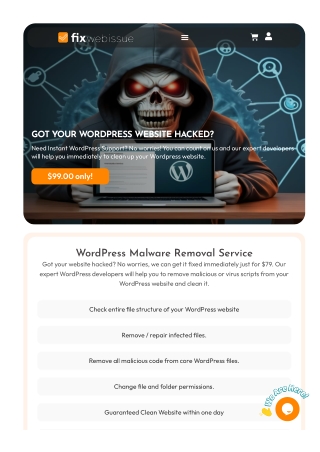 Expert WordPress Malware Removal Services - Fix Web Issue