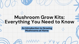 Mushroom Grow Kits: Everything You Need to Know