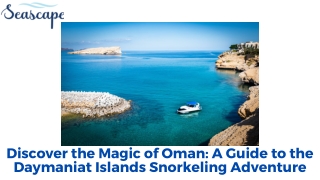 Discover the Magic of Oman A Guide to the Daymaniat Islands Snorkeling Adventure
