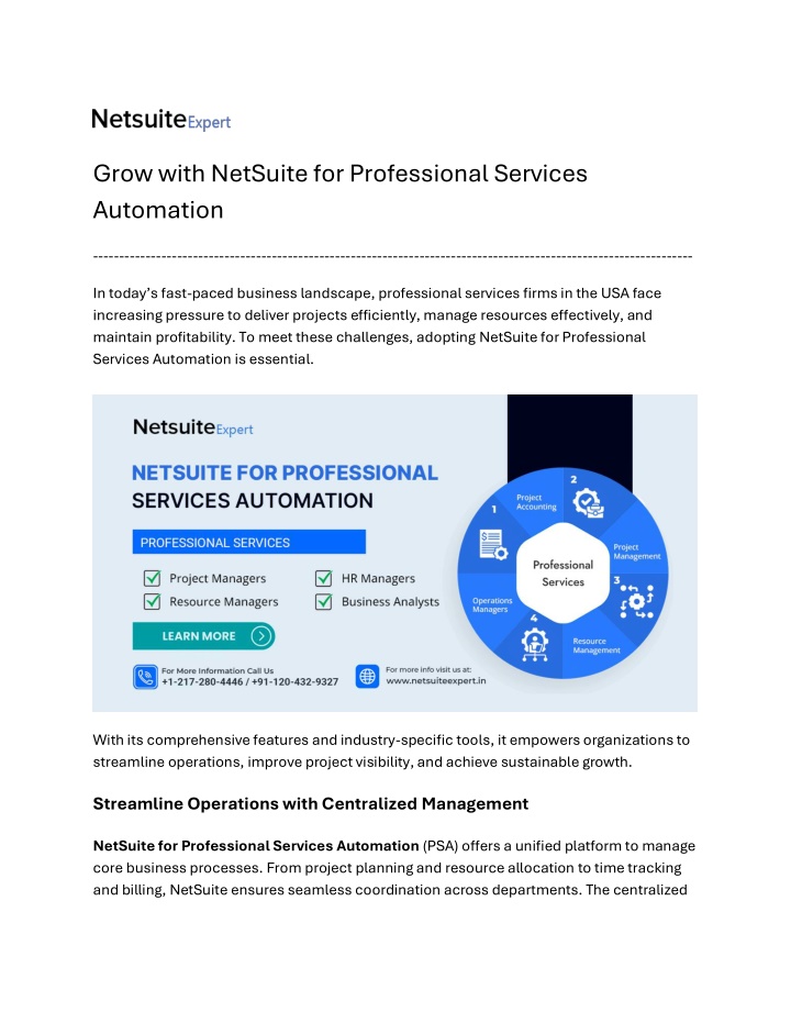 grow with netsuite for professional services