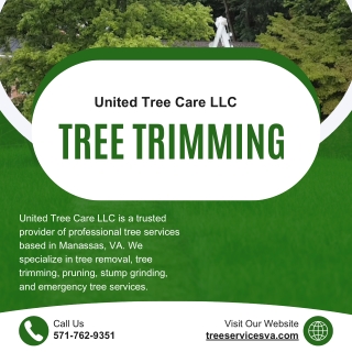 Tree trimming in Manassas VA