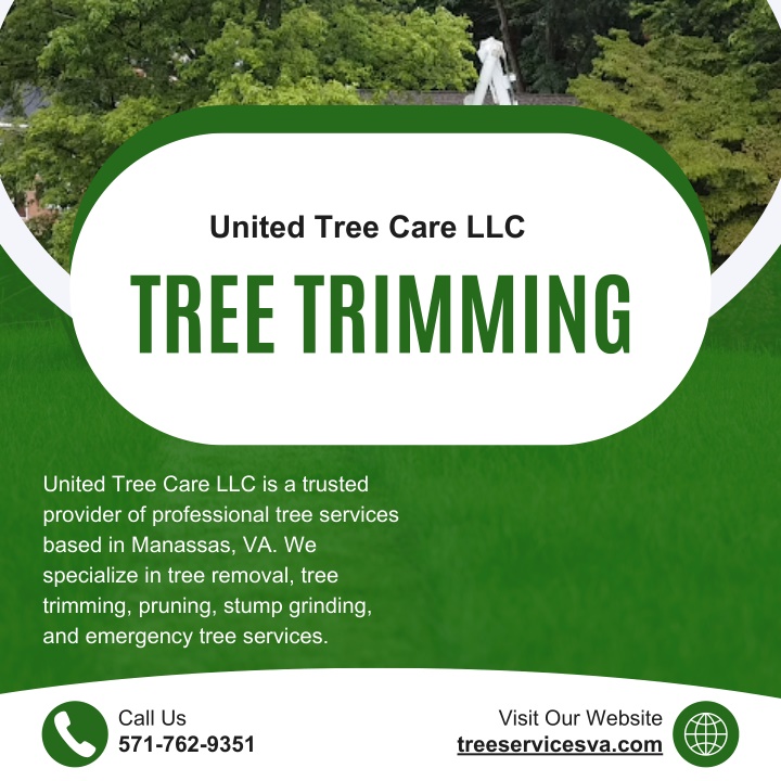 united tree care llc