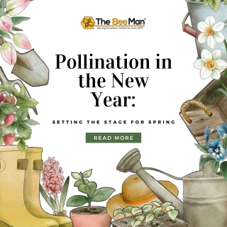 Pollination in the New Year Setting the Stage for Spring