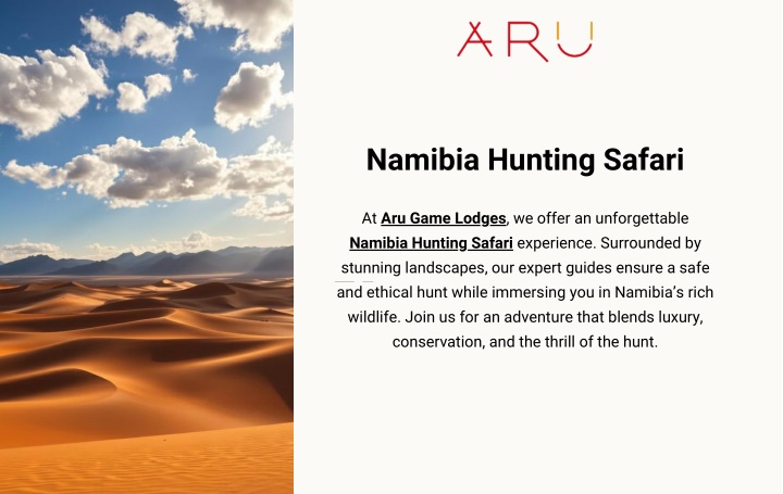 namibia hunting safari