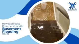 How Etobicoke Plumbers Handle Basement Flooding Issues