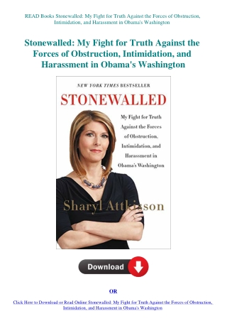 READ Books Stonewalled My Fight for Truth Against the Forces of Obstruction  Intimidation  and Haras