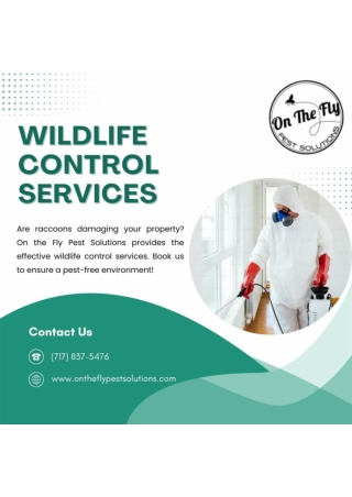 Bedbug Control Services At On the Fly Pest Solutions in Pikesville, Balitmore,Ma