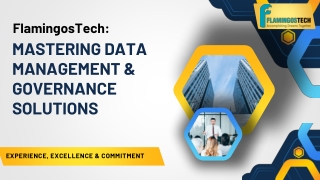 FlamingosTech: Pioneering Data Management and Governance for Smarter Decision-Ma