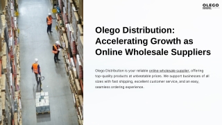 Olego Distribution: Accelerating Growth as Online Wholesale Suppliers