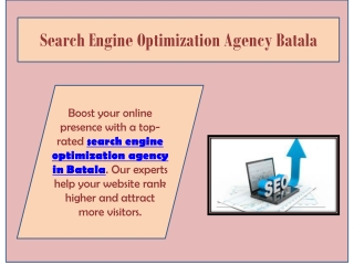 Search Engine Optimization Agency Batala