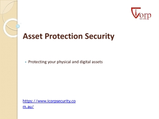 Asset Protection Security