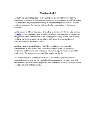 what is an audit