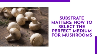 substrate matters how to select the perfect