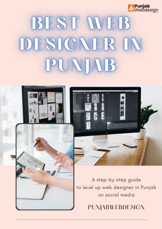 Best web designer in Punjab