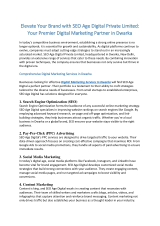 Elevate Your Brand with SEO Age Digital Private Limite1