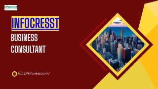 Immigration Consultant Business Plan India | Expert Guide by Infocresst
