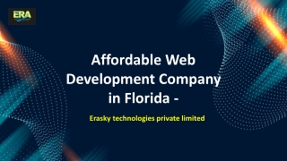Affordable Web Development Company in Florida - erasky technologies private limited