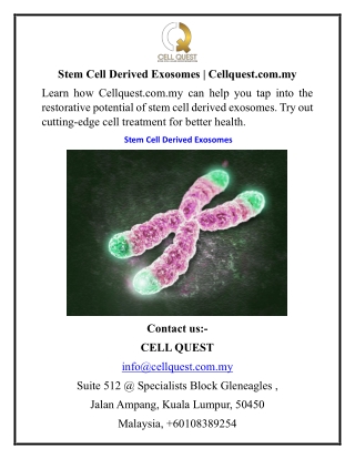 Stem Cell Derived Exosomes  Cellquest.com.my