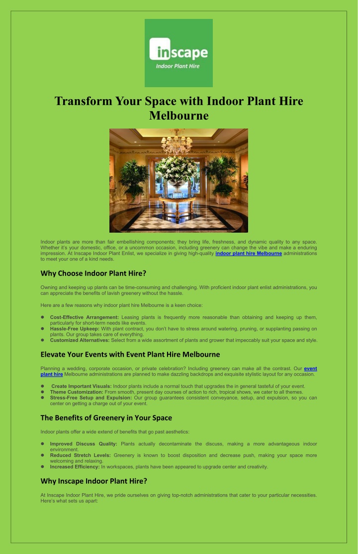 transform your space with indoor plant hire