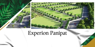 Experion Plots Panipat PDF
