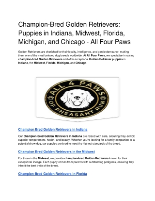 Champion-Bred Golden Retrievers_ Puppies in Indiana, Midwest, Florida, Michigan, and Chicago - All Four Paws