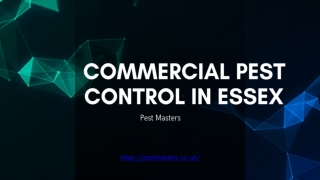 Expertise in Commercial Pest Control in Essex- Pest Masters