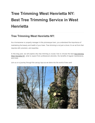 Tree Trimming West Henrietta NY_ Best Tree Trimming Service in West Henrietta