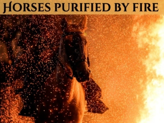 Horses purified by fire