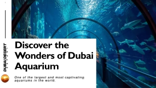 Discover the Wonders of Dubai Aquarium: A Journey into the Deep