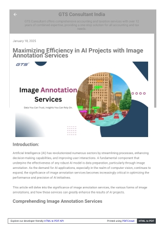 Maximizing Efficiency in AI Projects with Image Annotation Services