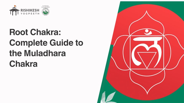 root chakra complete guide to the muladhara chakra