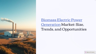 Biomass Electric Power Generation