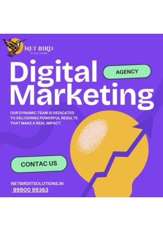 Grow Your Business with NetBird: Noida’s Best Digital Marketing Agency
