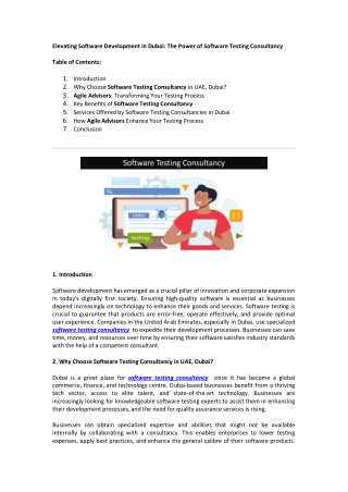 elevating software development in dubai the power