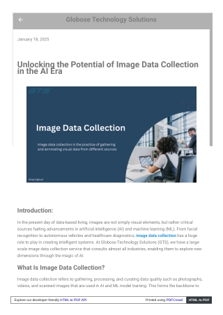 Unlocking the Potential of Image Data Collection in the AI Era