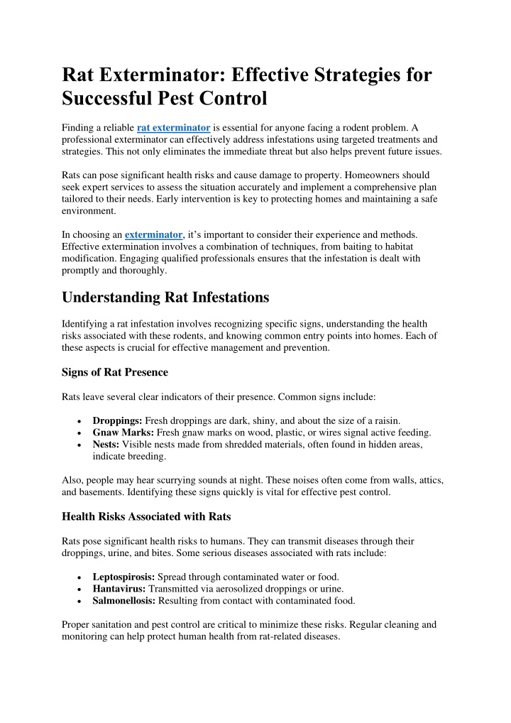 rat exterminator effective strategies