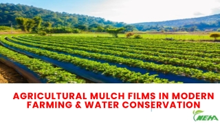 Agricultural Mulch Films In Modern Farming & Water Conservation