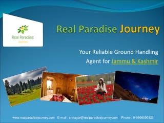 real paradise journey