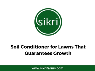 Soil Conditioner for Lawns That Guarantees Growth