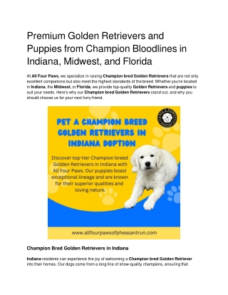 Premium Golden Retrievers and Puppies from Champion Bloodlines in Indiana, Midwest, and Florida