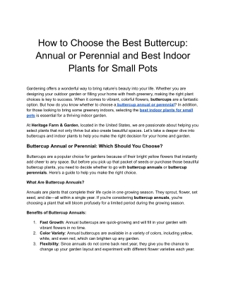 How to Choose the Best Buttercup_ Annual or Perennial and Best Indoor Plants for Small Pots