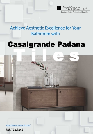 Achieve Aesthetic Excellence for Your Bathroom with Casalgrande Padana Tiles