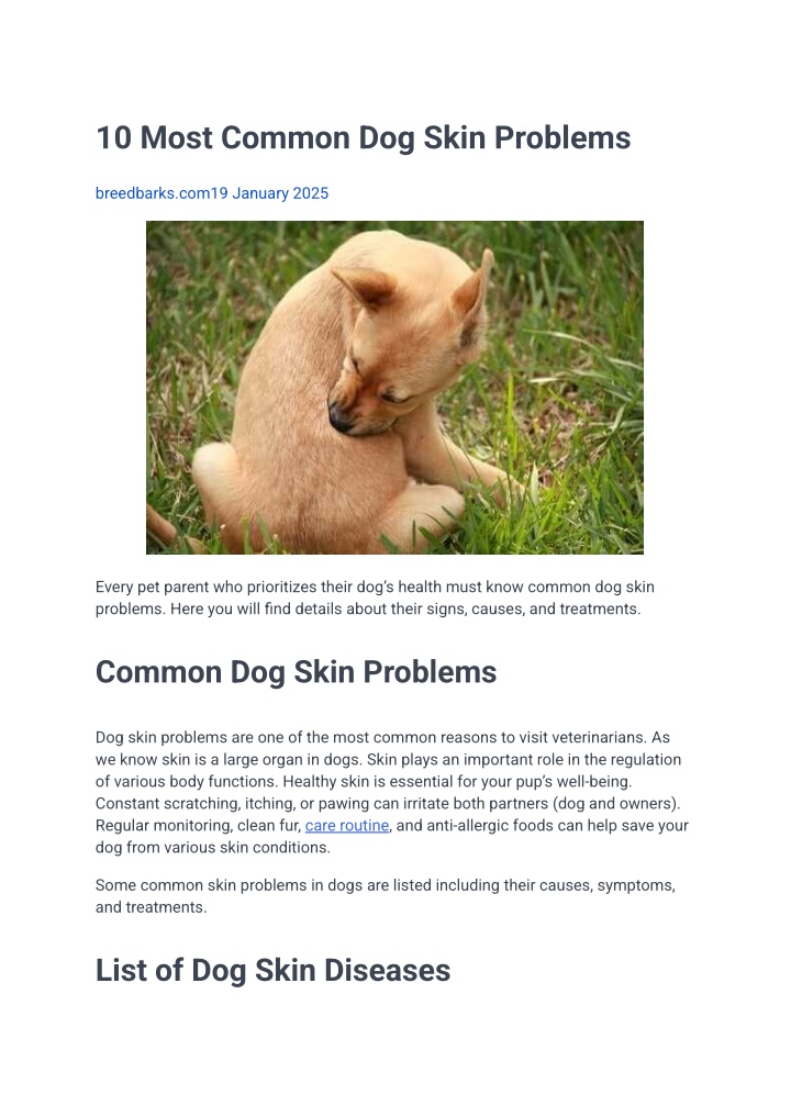 PPT - 10 Most Common Dog Skin Problems PowerPoint Presentation, free ...