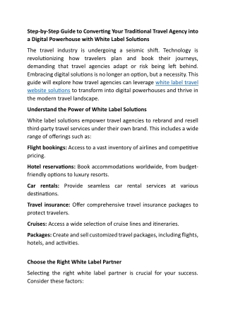 Step by-Step Guide to Converting Your Traditional Travel Agency into a Digital Powerhouse with White Label Solutions