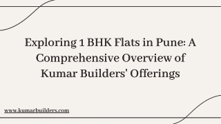 1 bhk flats in pune (2)