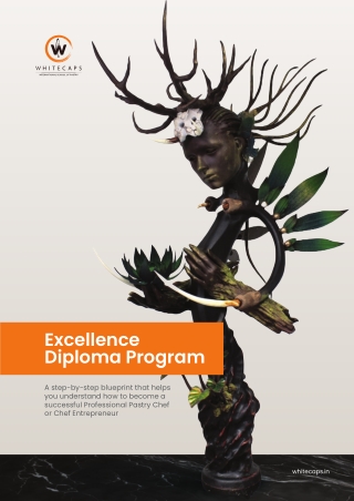 excellence diploma program