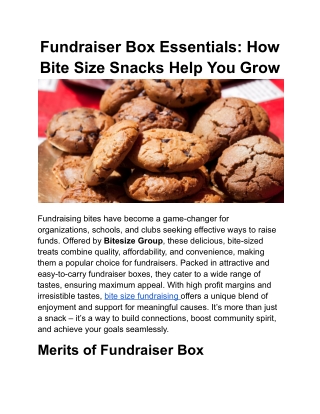 fundraiser box essentials how bite size snacks
